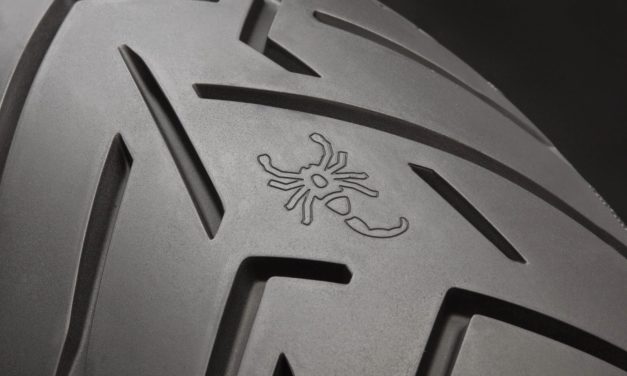 Pirelli Scorpion Trail II : le pneu aussi beau que bon